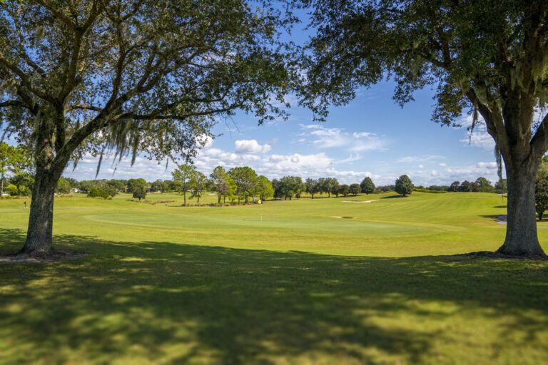 golf-executive-walnut-grove-6