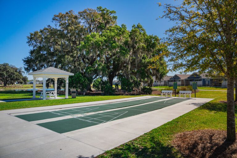 recreation-citrus-grove-08