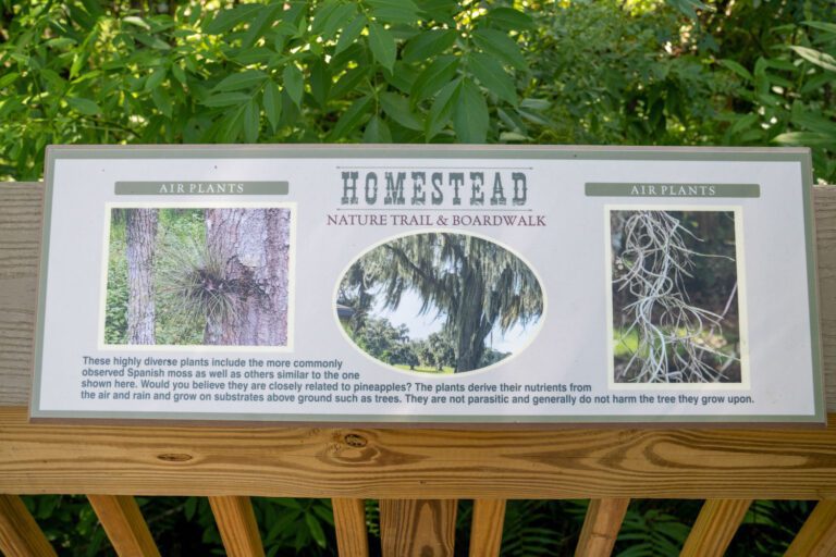 recreation-homestead-08