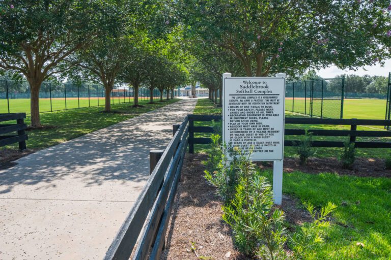 recreation-softball-complex-saddlebrook-02