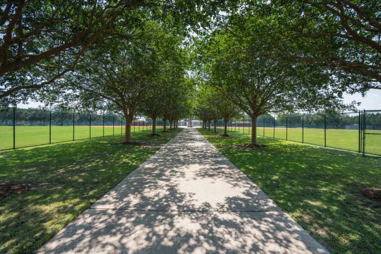 recreation-softball-complex-saddlebrook-03