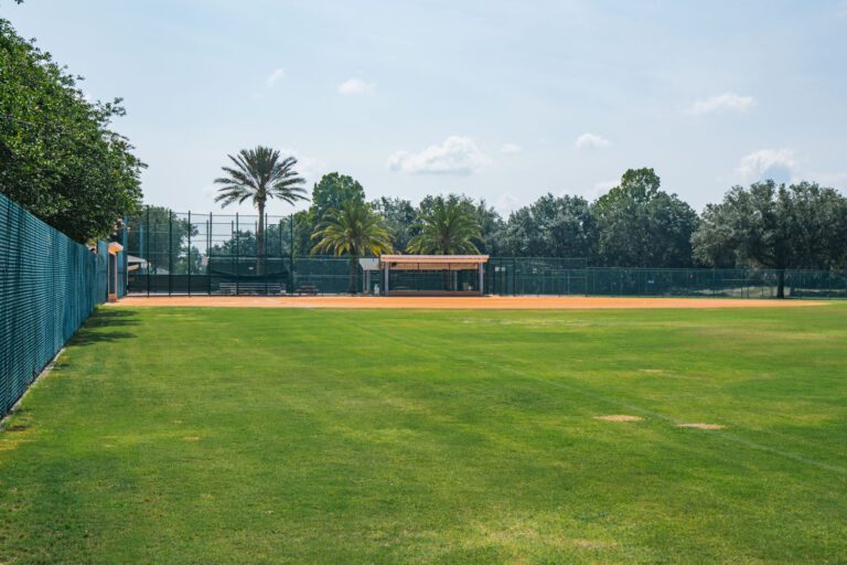 recreation-softball-complex-saddlebrook-04