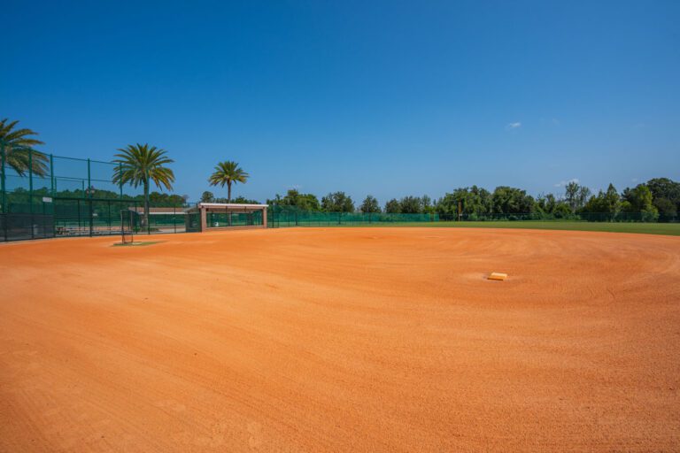 recreation-softball-complex-soaring-eagle-05
