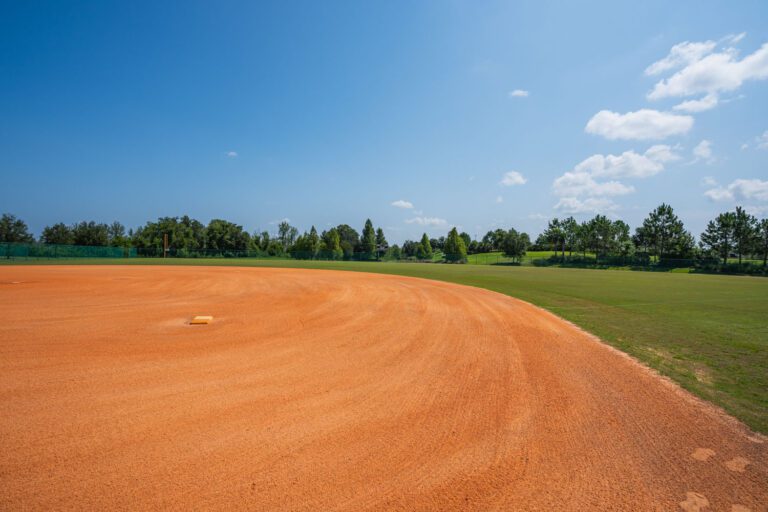 recreation-softball-complex-soaring-eagle-06