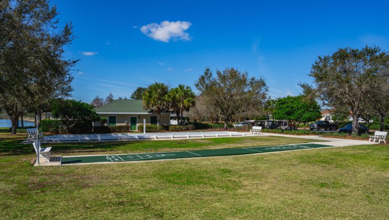 recreation-tall-trees-05