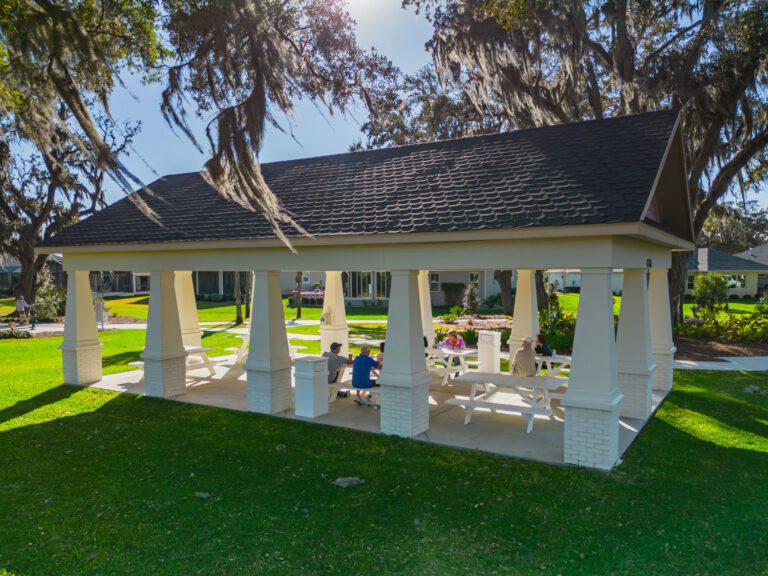 recreation-water-lily-11