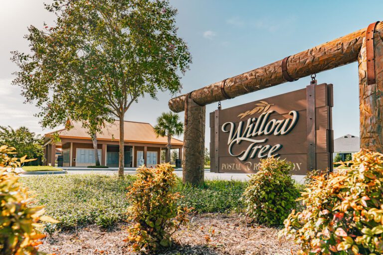 recreation-willow-tree-01