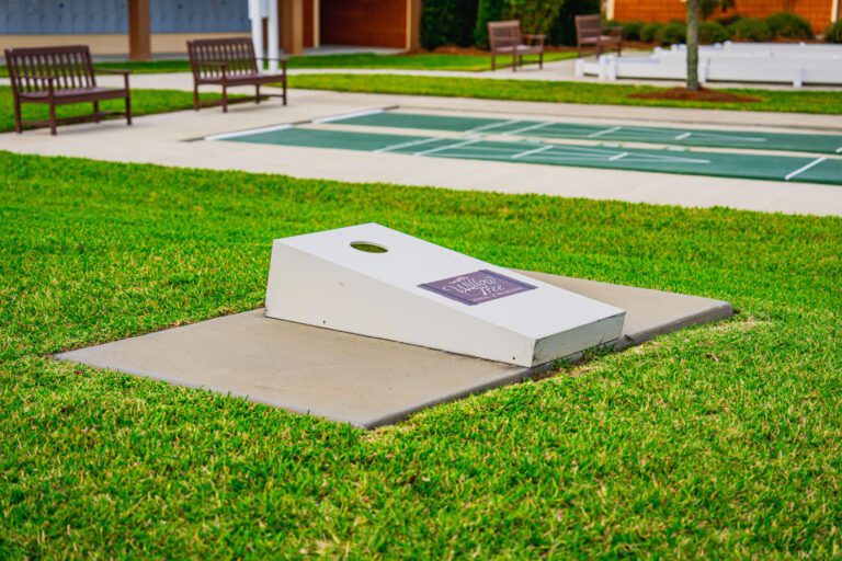 recreation-willow-tree-06