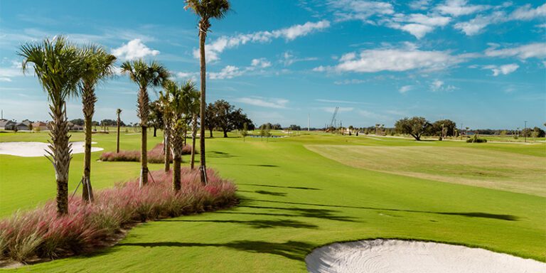 Southern-Oaks_DJI_0087