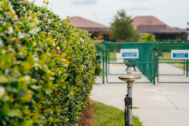 recreation-dog-park-atlas-canine-02