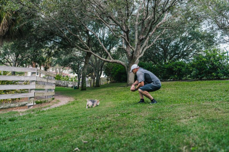 recreation-dog-park-brinson-perry-05