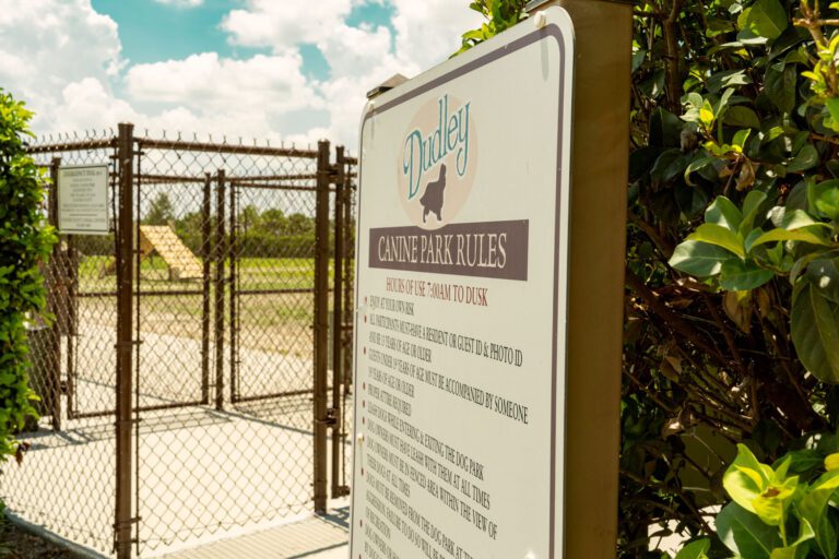 recreation-dog-park-dudley-canine-agility-02