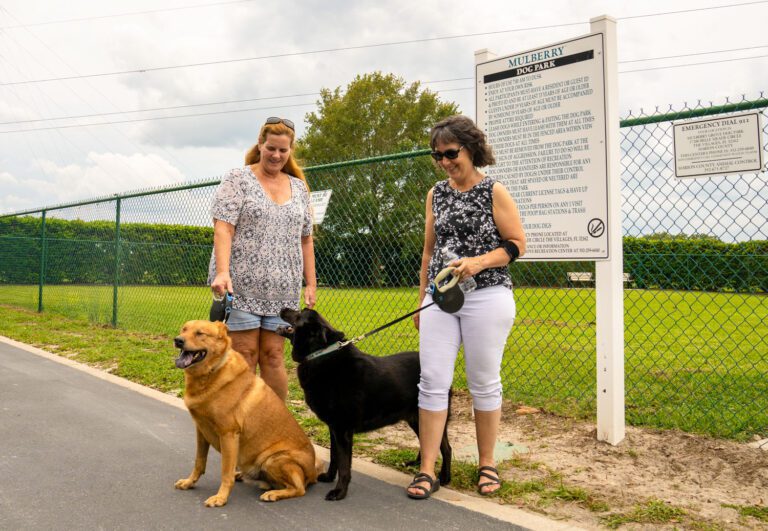 recreation-dog-park-mulberry-01