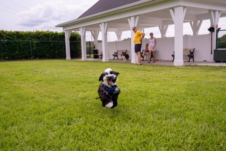 recreation-dog-park-mulberry-04