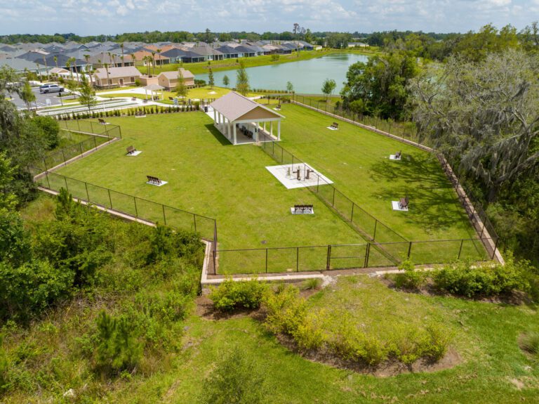 recreation-dog-park-richmond-canine-03