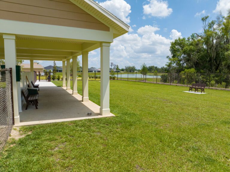 recreation-dog-park-richmond-canine-04