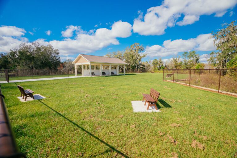 recreation-dog-park-richmond-canine-05