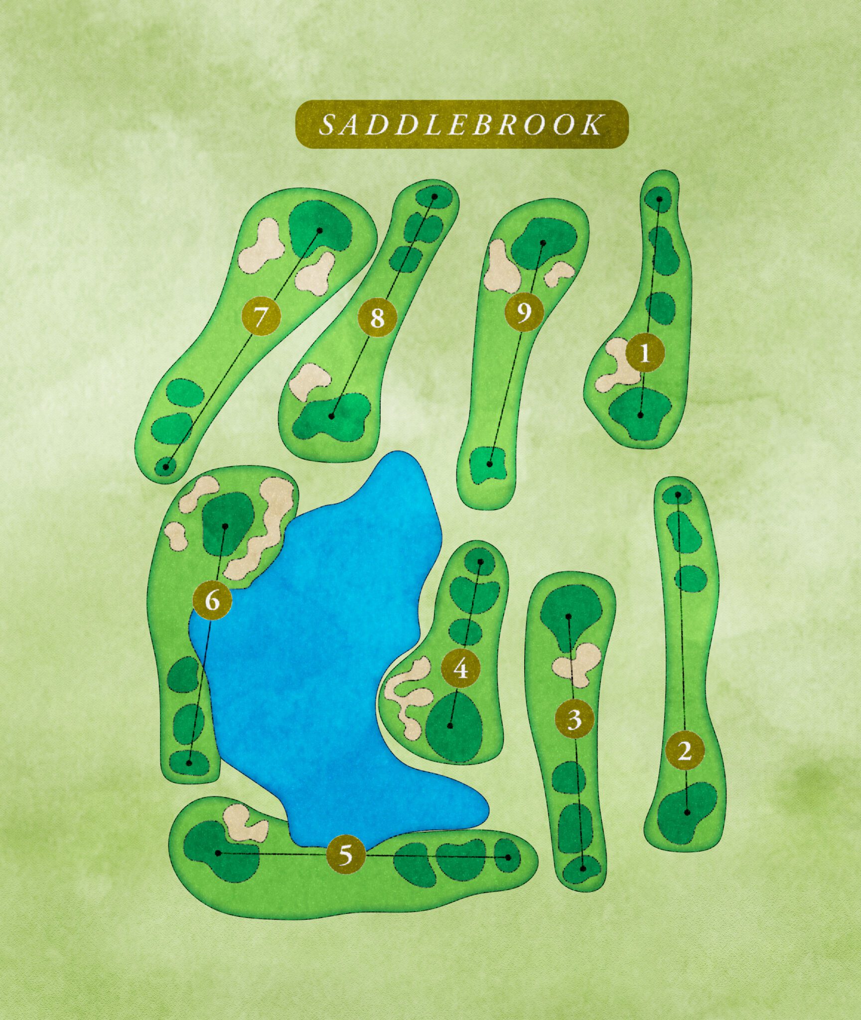 Saddle Ridge Golf Course Layout Saddlebrook Executive Golf Course in The Villages®, Florida
