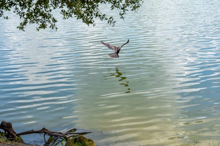 trails-parks-ashland-2