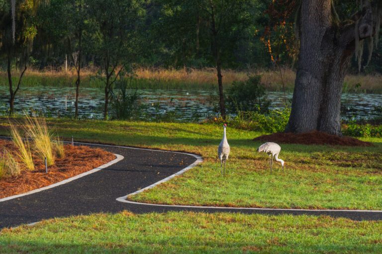 trails-parks-black-lake-walking-path-01