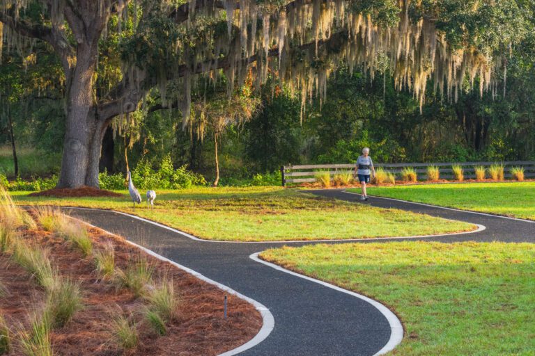 trails-parks-black-lake-walking-path-05