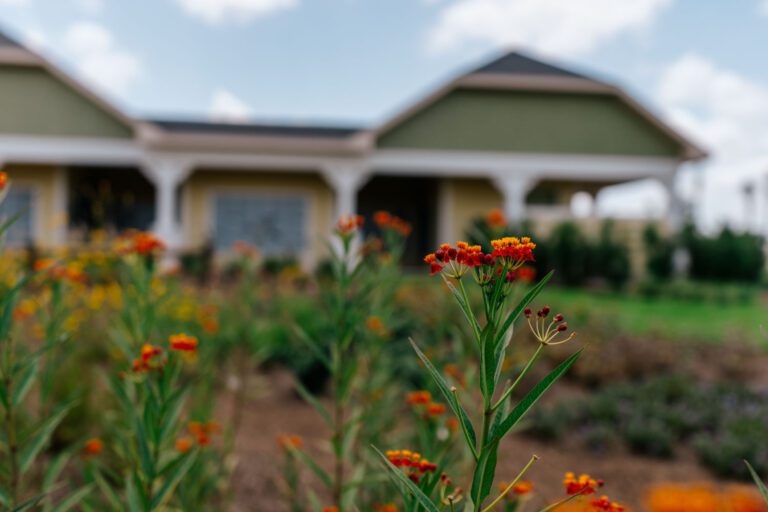 trails-parks-deluna-pathway-02