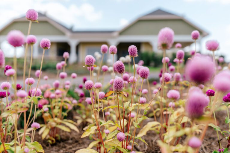 trails-parks-deluna-pathway-03