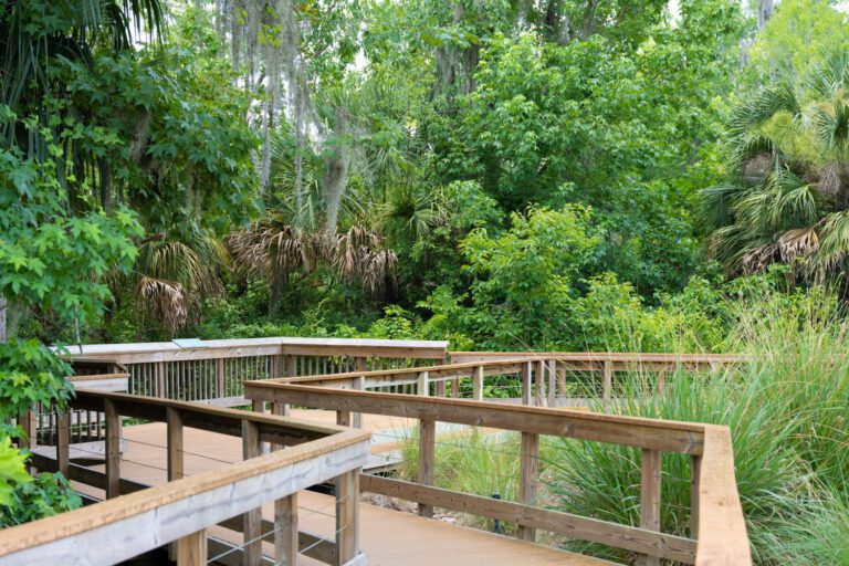 trails-parks-fenney-springs-nature-trail-11