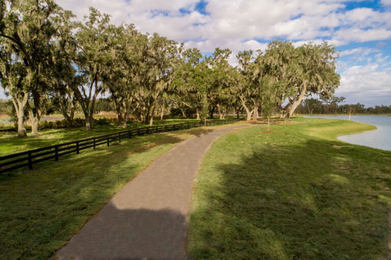 DJI_0011-Edit.jpg
Collections-Loving Nature-Hogeye