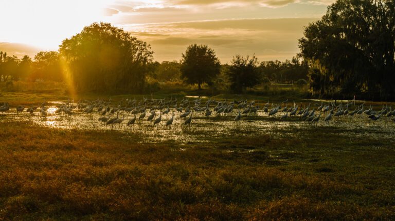 trails-parks-hogeye-preserve-03