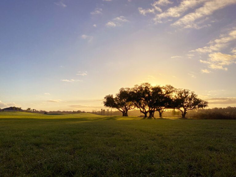 trails-parks-hogeye-preserve-04