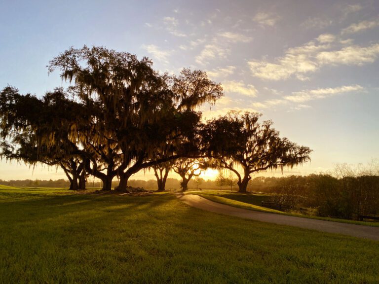 trails-parks-hogeye-preserve-05