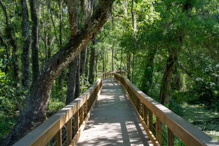 trails-parks-homestead-nature-07