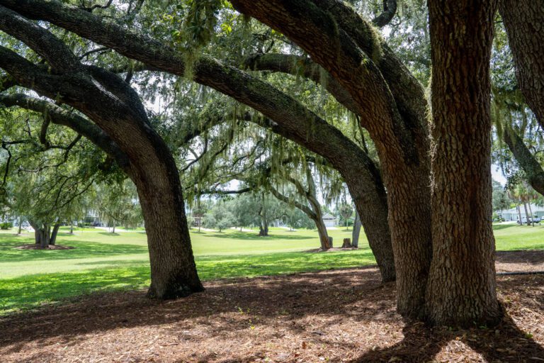 trails-parks-kelsea-park-01