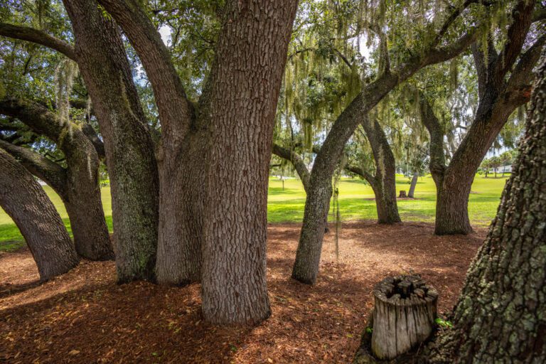 trails-parks-kelsea-park-04