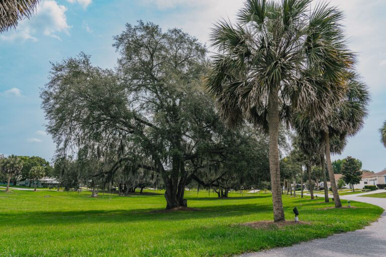 trails-parks-kelsea-park-06