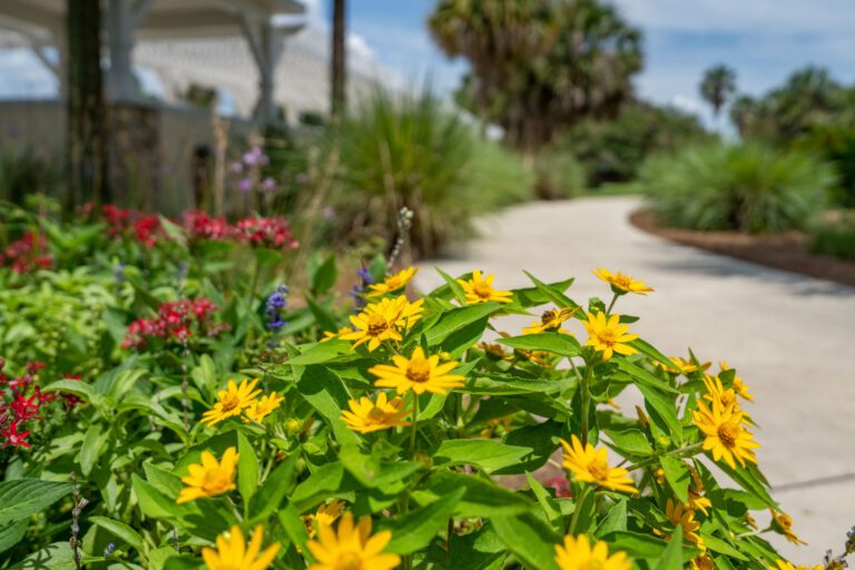 trails-parks-lake-miona-pathway-04