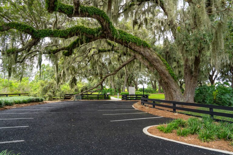 trails-parks-live-oaks-02