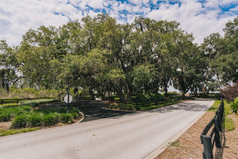 trails-parks-live-oaks-11