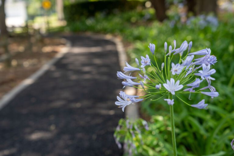 trails-parks-paradise-pathway-03