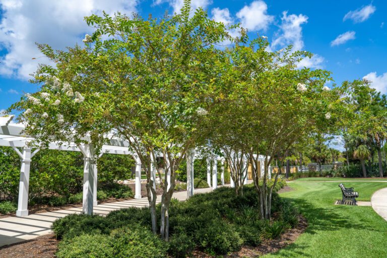 trails-parks-rohan-pathway-08