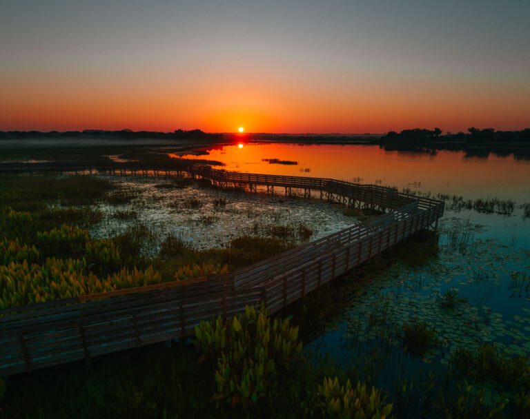 trails-parks-sharon-rose-wiechens-preserve-02