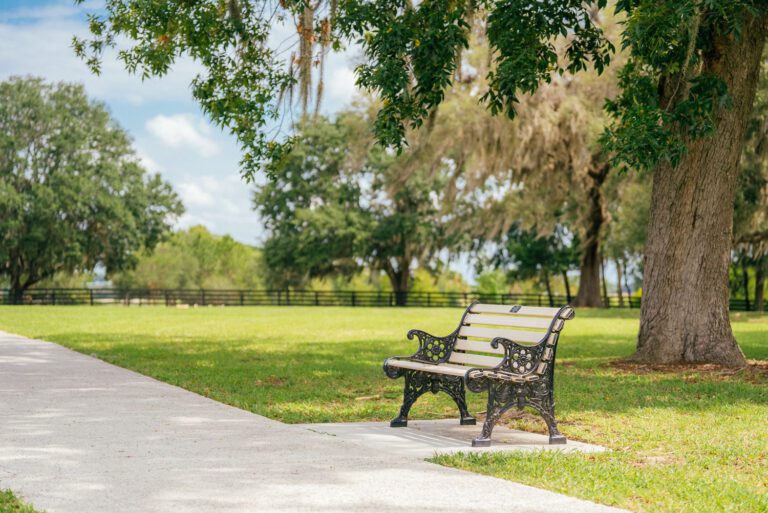 trails-parks-sharon-rose-wiechens-preserve-06