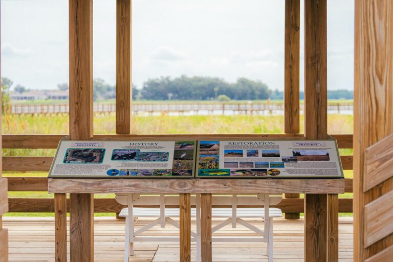 trails-parks-sharon-rose-wiechens-preserve-07