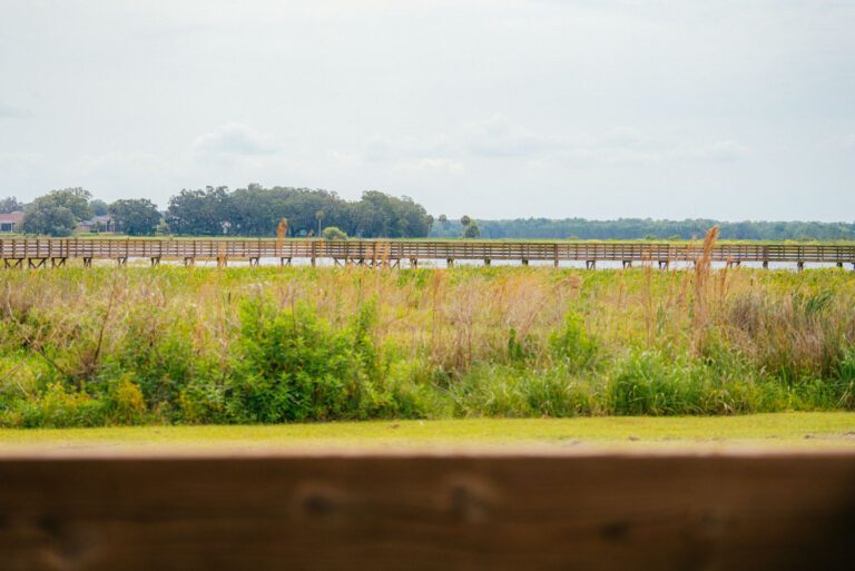 trails-parks-sharon-rose-wiechens-preserve-08