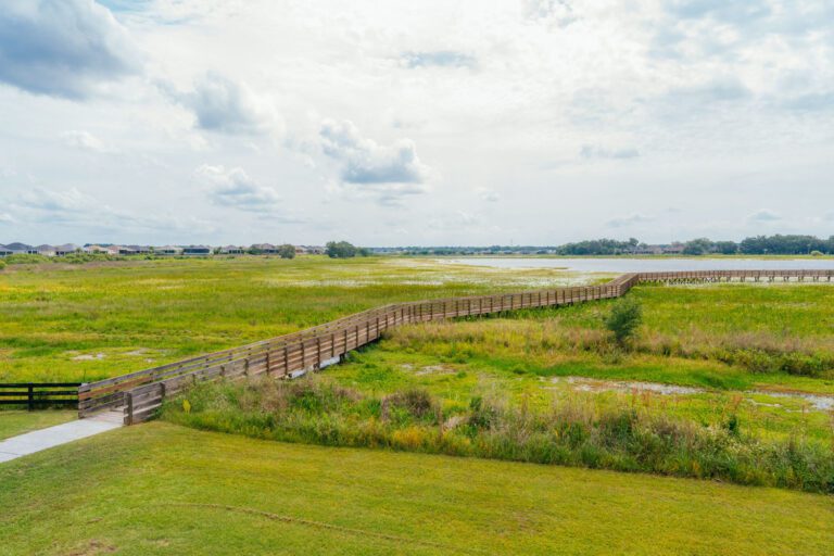 trails-parks-sharon-rose-wiechens-preserve-14