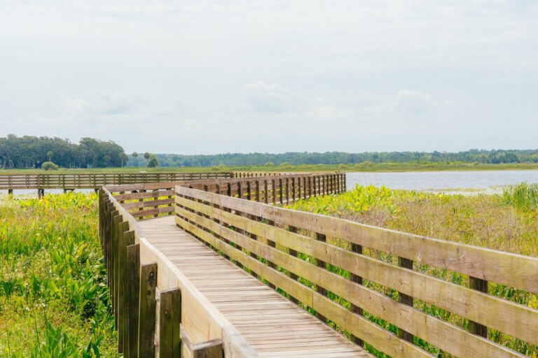 trails-parks-sharon-rose-wiechens-preserve-15