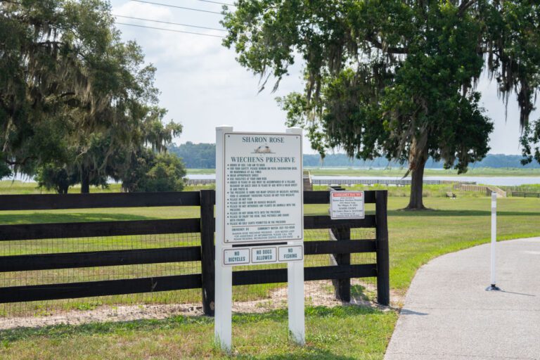 trails-parks-sharon-rose-wiechens-preserve-16