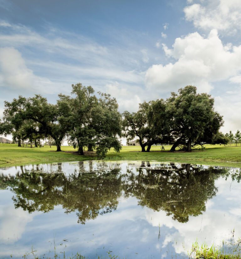 trails-parks-sugar-cane-01