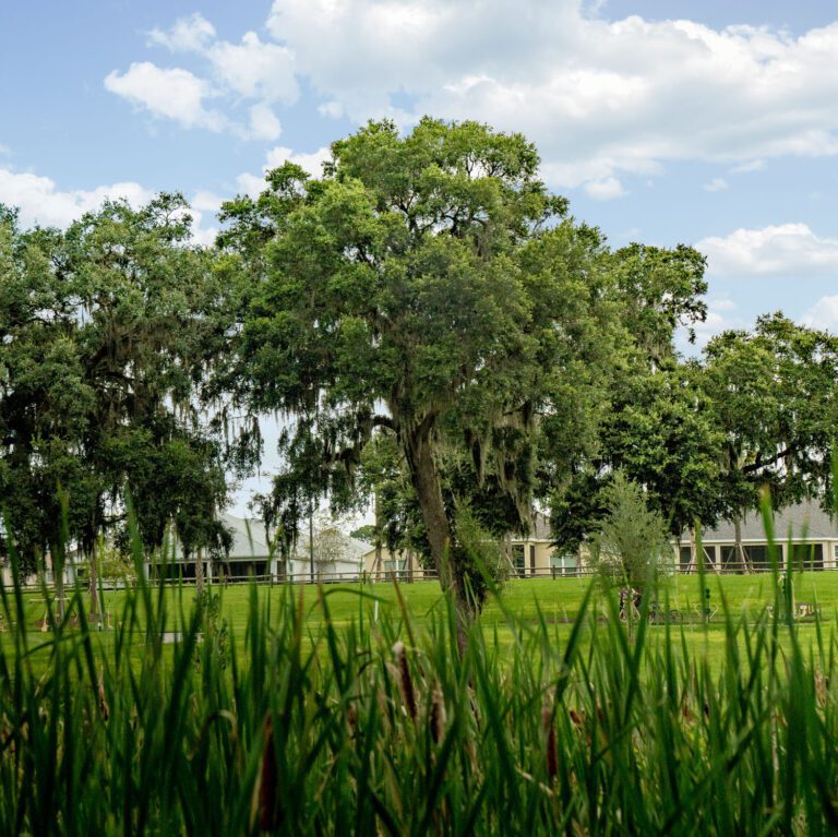 trails-parks-sugar-cane-03